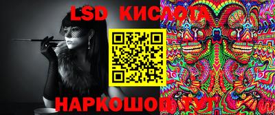 шишки Свободный