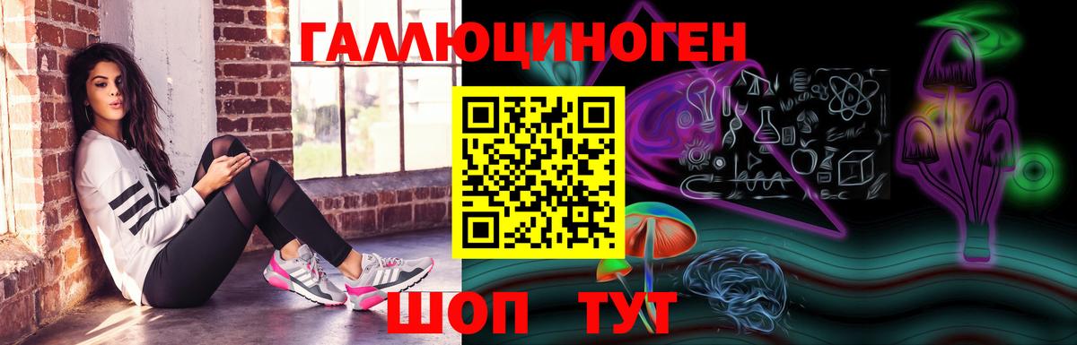 Псилоцибиновые грибы GOLDEN TEACHER Оренбург
